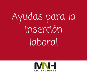 Ayuda: Inserción Laboral