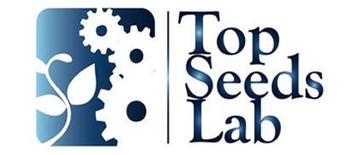 VI Convocatoria de aceleración Top Seed Lab